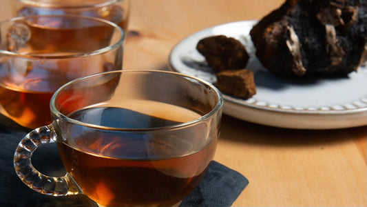 boisson infusée au chaga